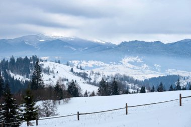 Soğuk dağlarda, karla kaplı ormandan oluşan koyu renk filizli ağaçlarla kaplı kış manzarası.