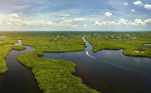 Everglades 'in su koyları arasındaki yeşil bitki örtüsüyle kaplı bataklığını görebiliyoruz. Florida 'daki birçok tropikal türün doğal yaşam alanı..