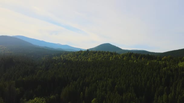 Luchtfoto Van Heldere Mistige Ochtend Donkere Heuvels Met Bergwoudbomen Bij — Stockvideo