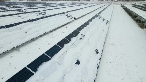 Aerial View Sustainable Electrical Power Plant Solar Photovoltaic Panels Covered — Αρχείο Βίντεο
