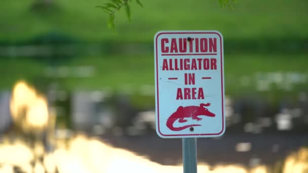 Varovné Znamení Krokodýla Parku Florida Opatrnosti Bezpečnosti Při Chůzi Vody — Stock video