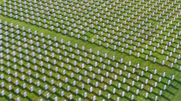 Amerikansk Nationell Militär Kyrkogård Med Rader Vita Gravstenar Grön Gräsmatta — Stockvideo