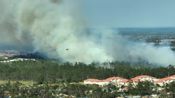 Service Incendie Chopper Éteindre Les Feux Forêt Brûlant Sévèrement Dans — Video