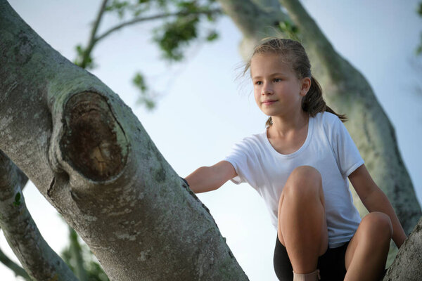 Young pretty child girl sitting relaxed between big branches of old tree on sunny summer day.