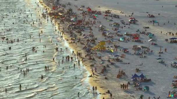 Повітряний Вид Пляж Сієста Сарасоті Сша Багато Людей Люблять Плавати — стокове відео