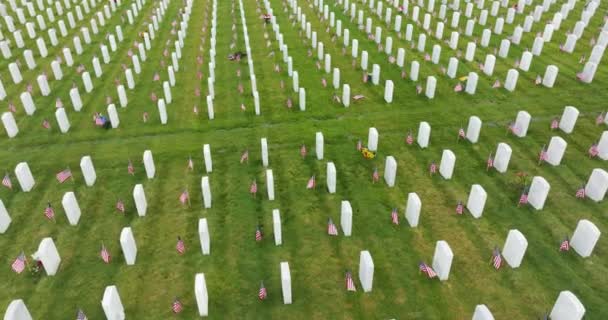 Velký Americký Vojenský Národní Hřbitov Řadami Bílých Náhrobků Zelené Trávě — Stock video