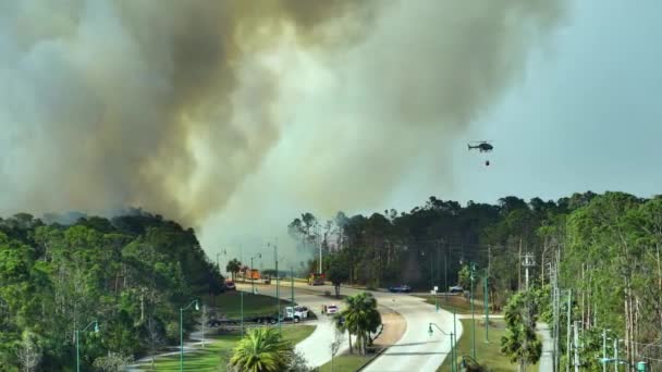 消防ヘリコプターや消防車の空中ビューは フロリダのジャングルの森の中で深刻な燃焼山火事を消火します 救急ヘリと消防士が森の中で炎を落とそうと — ストック動画