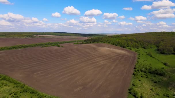 春林间种庄稼的耕地与耕地的空中景观 — 图库视频影像