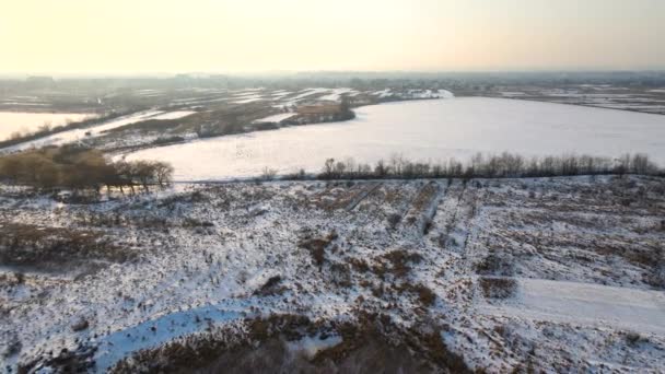 冬は不毛の地が広がる雪原の空中風景 — ストック動画