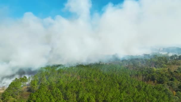 Vue Aérienne Fumée Blanche Provenant Des Feux Forêt Qui Élèvent — Video