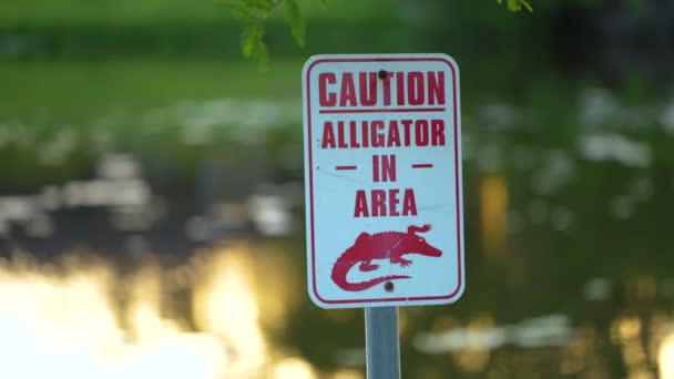 Предупреждающий Знак Опасности Аллигатора Набережной Флориды Предосторожности Безопасности Время Прогулки — стоковое видео