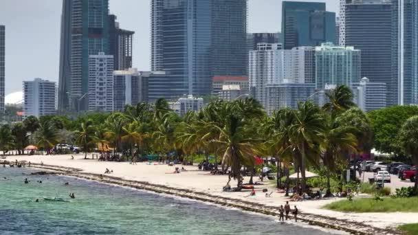 Plaża Hobie Island Virginia Key Pobliżu Centrum Miami Brickell Wakacje — Wideo stockowe