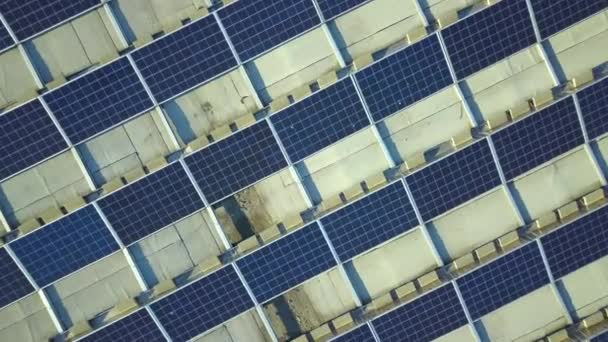 Letecký Pohled Modré Fotovoltaické Solární Panely Namontované Střeše Průmyslové Budovy — Stock video