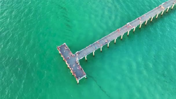 フロリダのヴェネツィアの釣り桟橋で休暇を楽しむ人々 新鮮な空気で海辺の夏のアクティビティ — ストック動画