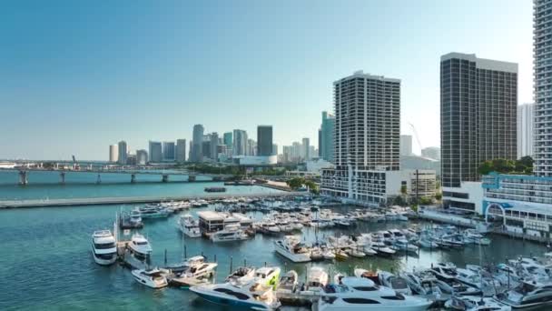 Городской Пейзаж Делового Района Майами Флориде Сша Роскошными Яхтами Гавани — стоковое видео