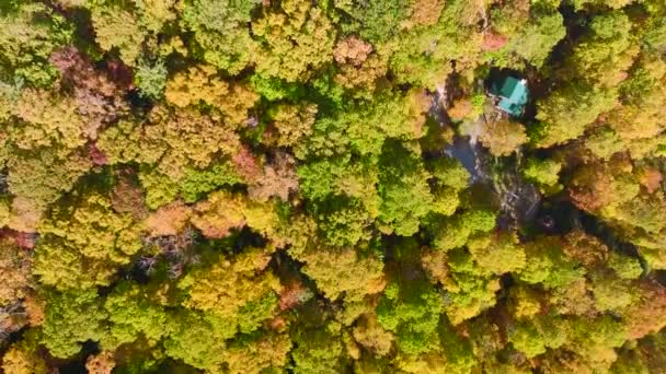 Άποψη Από Ψηλά Των Πολύχρωμων Δασών Κίτρινο Και Πορτοκαλί Στέγες — Αρχείο Βίντεο