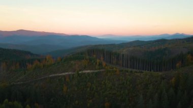 Aerial view of colorful evening over dark deforestated woods with cut down mountain forest trees at fall sunset. Beautiful scenery of wild woodland at risk of human destruction.