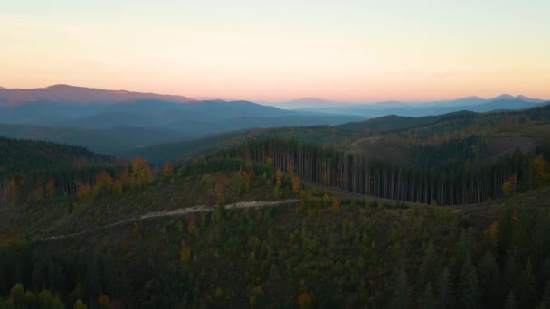Aerial View Colorful Evening Dark Deforestated Woods Cut Mountain Forest — Stockvideo