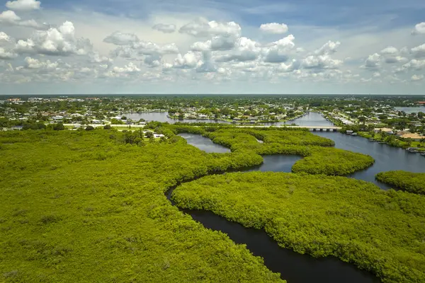 Overhead view of Everglades swamp with green vegetation between water inlets and rural private houses. Natural habitat of many tropical species in Florida wetlands.