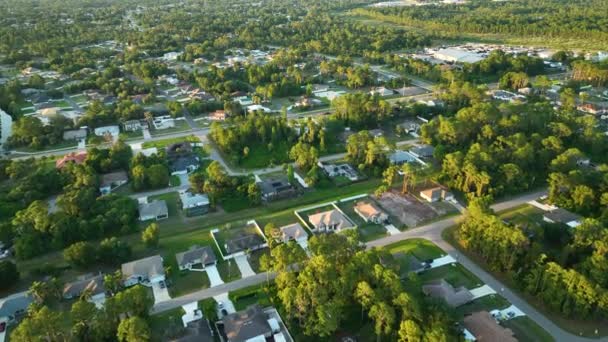 Aerial View Suburban Landscape Private Homes Green Palm Trees Florida — Stock video