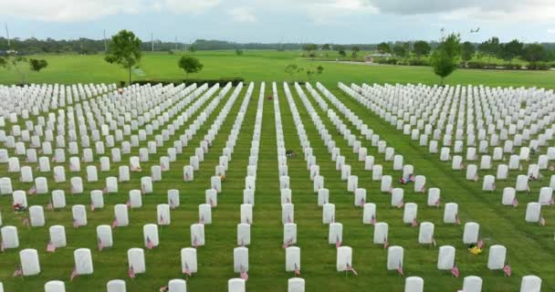 American National Military Cemetery Rows White Tomb Stones Green Grass — Stock Video