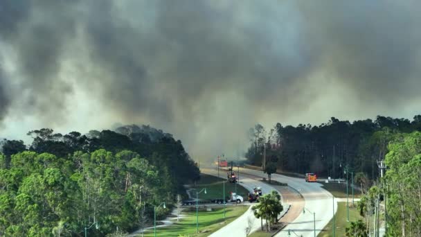消防署のチョッパーと消防車は フロリダのジャングルの森で激しく燃える野火を消火する 救急車やヘリコプターが炎を森に落とそうとしています — ストック動画