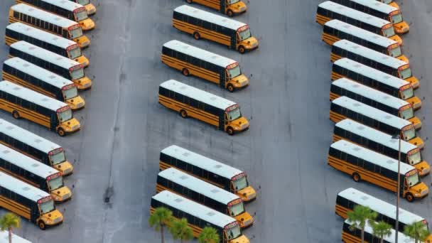 Openbare School Bus Parkeerplaats Met Veel Gele Bussen Geparkeerd Rijen — Stockvideo