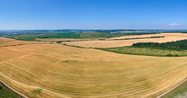 Buğday hasadından sonra kuru samanla ekilmiş sarı tarım arazisinin havadan manzarası.