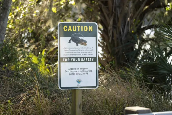 Alligators warning sign in Florida state park about caution and safety during trail walk.