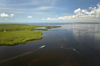 Everglades 'teki küçük tekne manzarası su koyları arasında yeşil bitki örtüsü olan bataklıklar. Florida 'daki birçok tropikal türün doğal yaşam alanı..