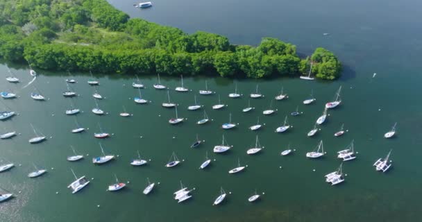 美国佛罗里达州迈阿密市高档社区的Coconut Grove码头 有豪华帆船和游艇 — 图库视频影像