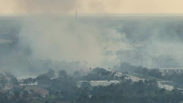 フロリダのジャングルの森で激しく燃える野火を消火する消防ヘリ 救急ヘリが炎を森に落とそうとしてる 濃い煙が立ち上がって — ストック動画