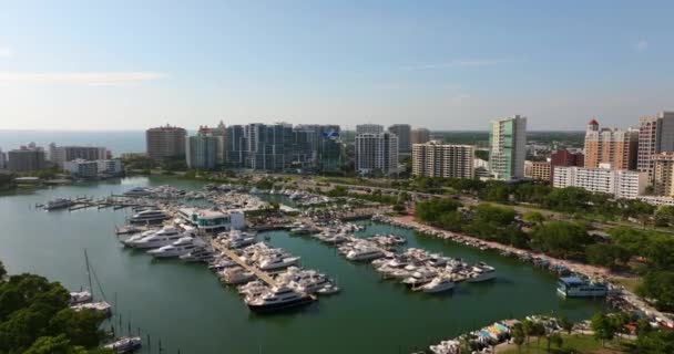 Yachts Luxe Amarrés Dans Marina Sarasota Bay Paysage Urbain Quartier — Video