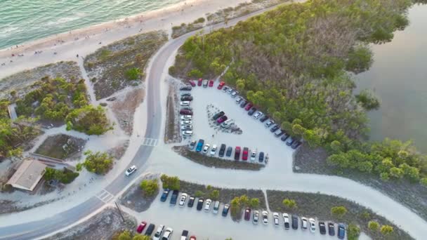 Parcheggio Turisti Auto Fronte Alla Spiaggia Dell Oceano Con Morbida — Video Stock