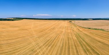 Buğday hasadından sonra kuru samanla ekilmiş sarı tarım arazisinin havadan manzarası.