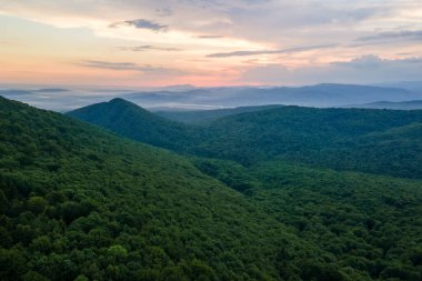 Gün batımında dağ tepelerini kaplayan koyu ladin ağaçlı yeşil çam ormanlarının hava manzarası. Yukarıdan orman manzarası yok.