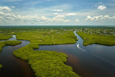 Florida 'nın yukarısından, okyanus suları arasında yeşil bitki örtüsü olan bir yer. Bataklıktaki birçok tropikal türün doğal yaşam alanı.