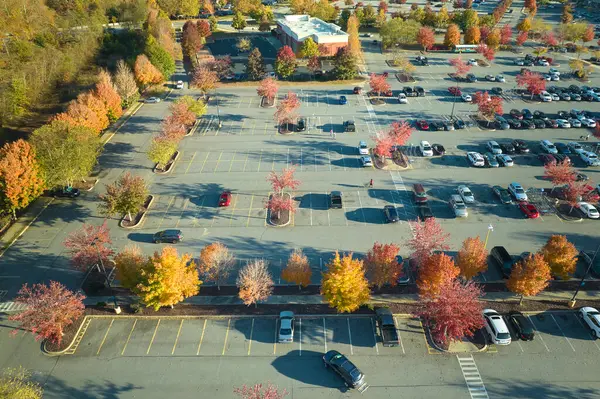 View from above of many parked cars on parking lot with lines and markings for parking places and directions. Place for vehicles in front of a strip mall center.