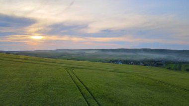 Yaz mevsiminde ekinlerin büyüdüğü yeşil tarlaların havadan görünüşü. Tarım ve tarım endüstrisi.
