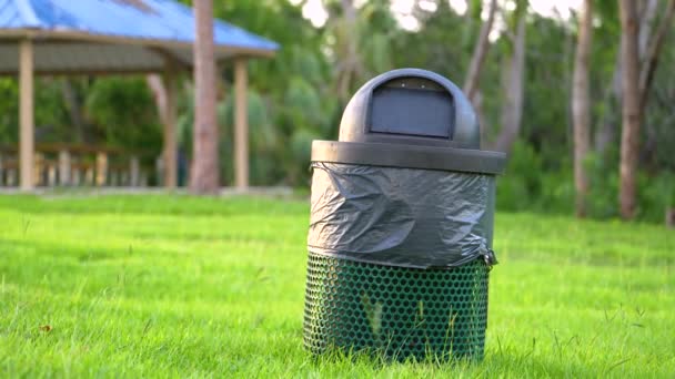 城市公园的绿色草坪上 有塑料袋的绿色回收箱 垃圾收集概念 — 图库视频影像