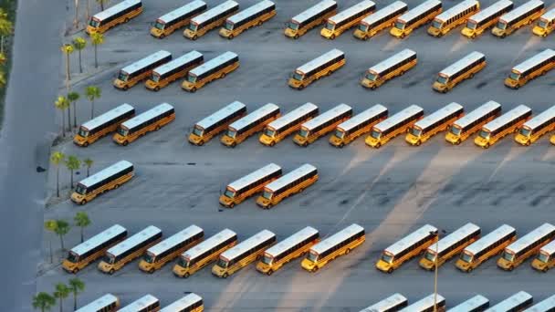 Parking Público Autobuses Escolares Con Muchos Autobuses Amarillos Estacionados Filas — Vídeos de Stock