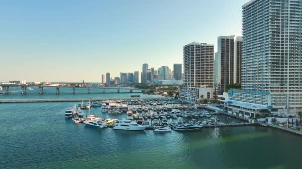 Luxus Jachtok Dokkoltak Biscayne Bay Kikötőjében Városi Táj Belvárosban Kerület — Stock videók