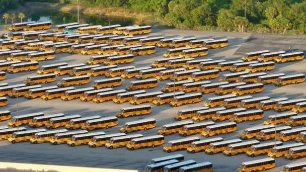 Стоянка Общественного Школьного Автобуса Большим Количеством Желтых Автобусов Припаркованных Рядами — стоковое видео