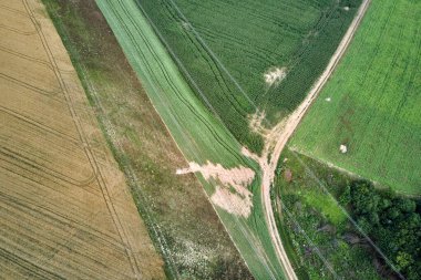 Yeşil ve sarı ekili tarlaların hava manzarası. Parlak yaz gününde ekinlerin büyüdüğü tarlalar..