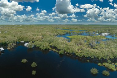 Doğal afet sonrası. Florida yerleşim bölgesinde Ian kasırgası ile sel basmış evler..