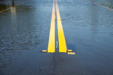 Şiddetli sağanak yağıştan sonra Florida 'da sel basmış yol.