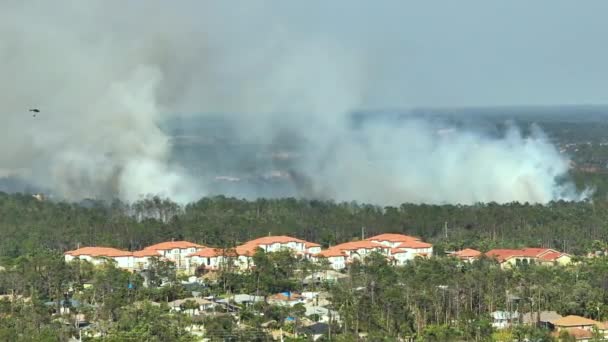 在佛罗里达州北部港口城市 紧急救援直升机扑灭野火 警察部门的直升机试图扑灭森林中的大火 有毒烟雾污染大气 — 图库视频影像