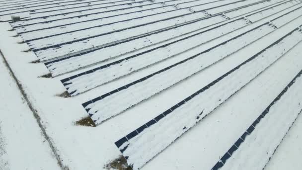Aerial View Sustainable Electrical Power Plant Solar Photovoltaic Panels Covered — Video