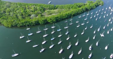 Florida, ABD 'de Miami Coconut Grove' da tekneleri ve yatları olan Marina Körfezi..