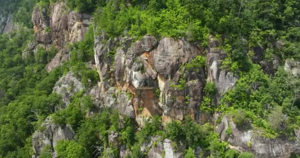 Skaliste Klify Górskie Erozją Kamiennej Powierzchni Blue Ridge Mountains Pobliżu — Wideo stockowe